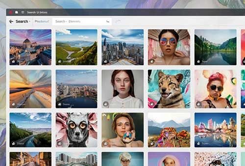 Фотоловушка: Как «безобидная» картинка может опустошить ваш кошелек