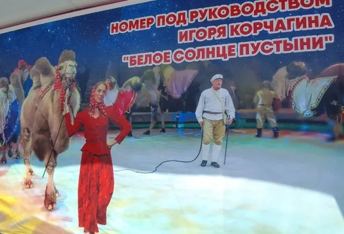 Сотрудники ЧОП «Опора» рассказали свою версию конфликта между охранниками и артистами цирка