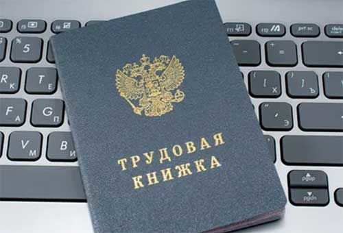 Новые профессии и должности появятся в России с 2026 года