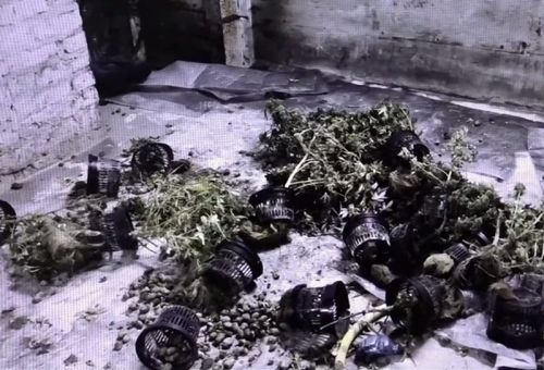 Охранник оказал содействие в поимке владельцев нарколаборатории